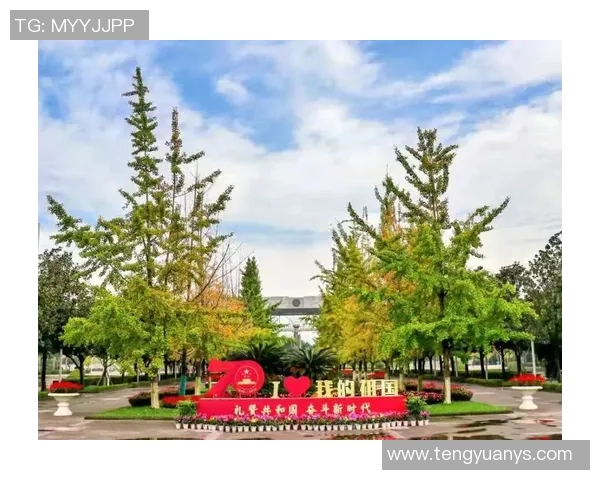 乒乓球速度实力榜单权威发布揭示顶尖选手竞技水平与潜力