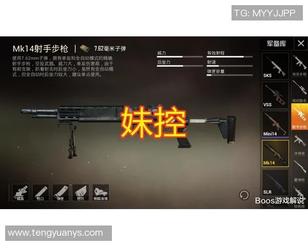 和平精英中的LNG战队力量解析与战术探讨