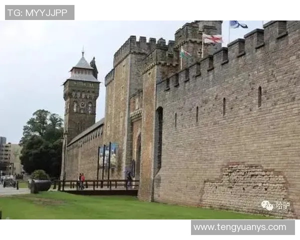 广州攀岩队如何引领攀岩热潮与节奏变革的全新探索之路