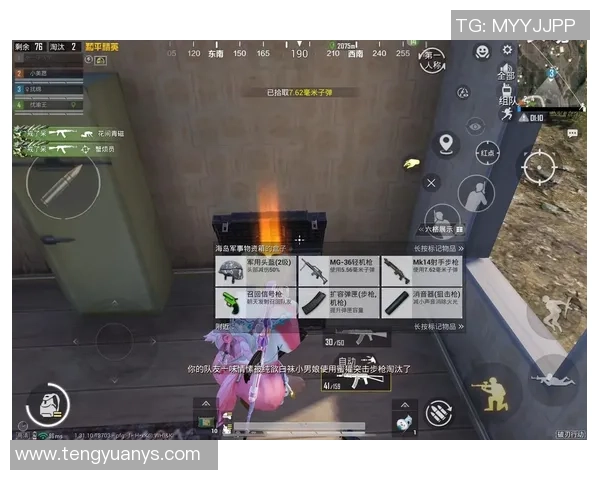 和平精英实力排行榜揭晓WE战队荣登第二名引发热议